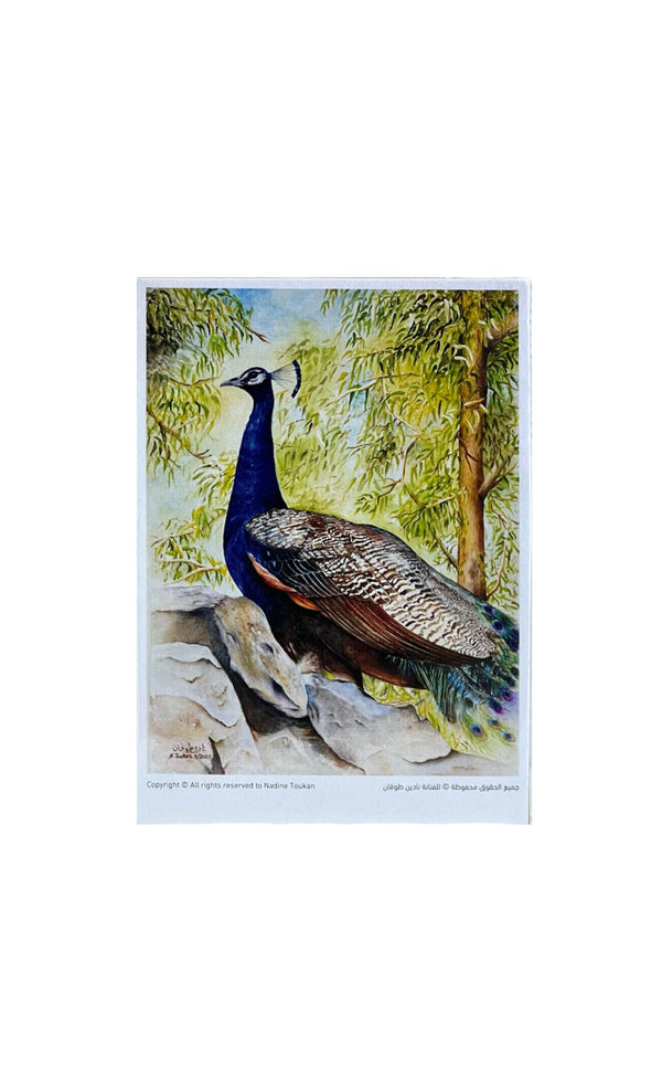 Jerusalem Nadine Touqan Print