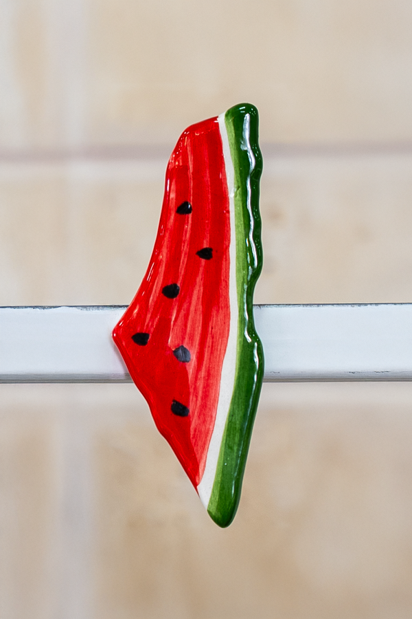 Watermelon Magnet